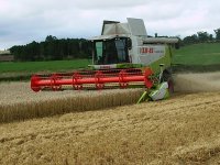 Growing cereals 3 - Harvesting the crop