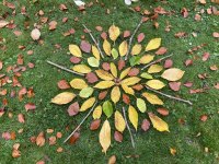Autumn treasures